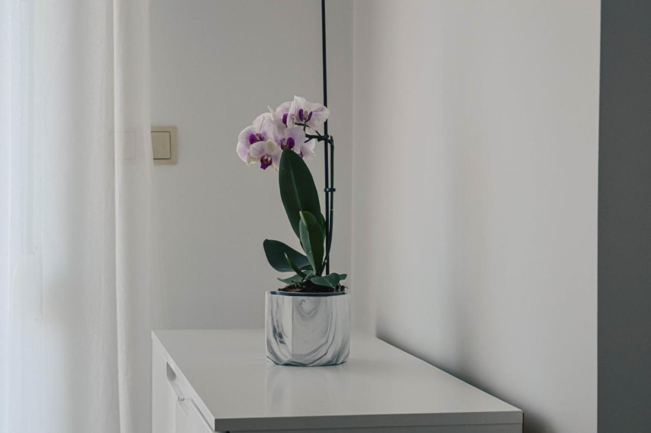 Apartment Valentina Zadar Eksteriør billede